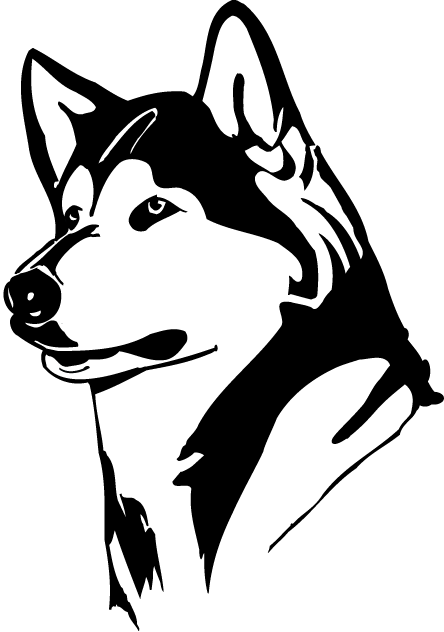 Washington Huskies 1995-2000 Partial Logo t shirts DIY iron ons